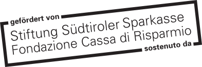 logo Fondazione Casse di Risparmio